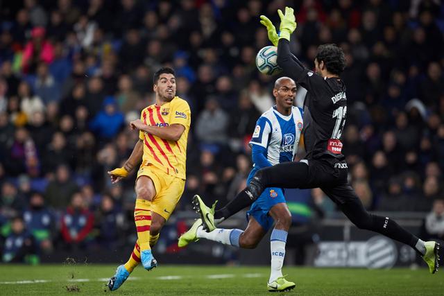 澳超新赛季实力定位:减至12队 奥克兰剑指双冠